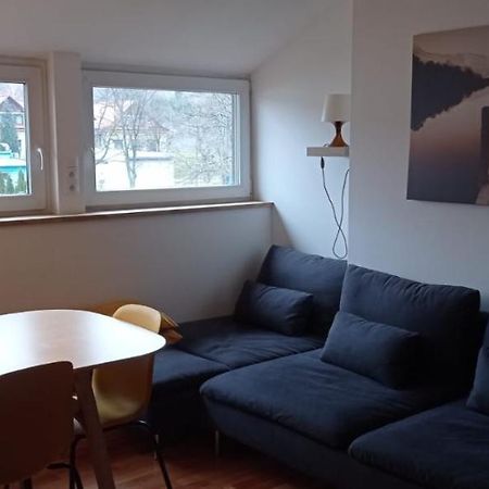 Apartment Na Gruszy Stronie Śląskie 외부 사진